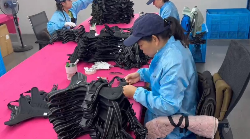 米兰体育·(milantiyu)宠物，无处不在